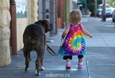 Рога и копыта, весёлая ЗоОфЛуДиЛьНя  - Y6XdwwhTsFw.jpg