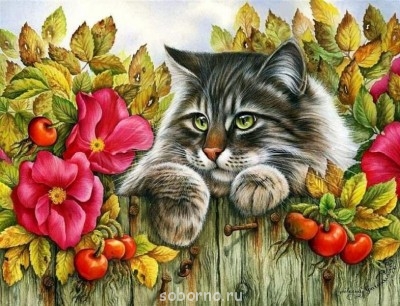 Включаю компьютер и... - 94731313_large_0_74195_1440c839_XL.jpg