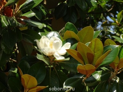 Доброе утро и Спокойной ночи  - XZN0YsNDPrI.jpg