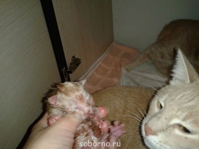 Хочу поделиться ... 2  - image.jpg