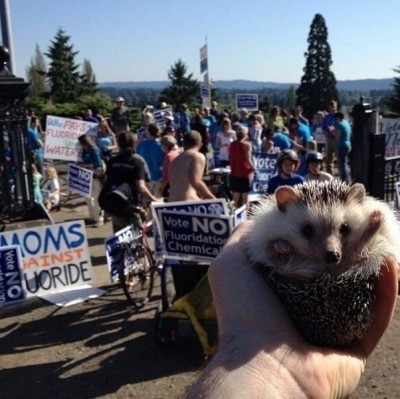 Они такие забавные смешные фото и видео  - KaJe4nsSwVk.jpg