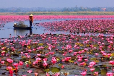 Самые интересные места на Земле - hGanN24YJUs.jpg