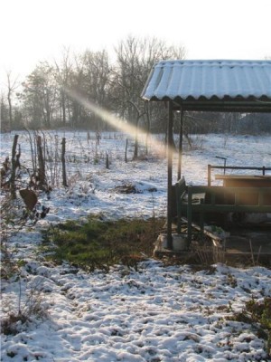 Наша дача и приусадебный участок - b6ffafa7ef17.jpg