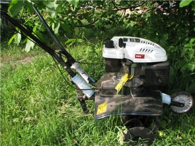 Наша дача и приусадебный участок - 5ec4a6e75544.jpg