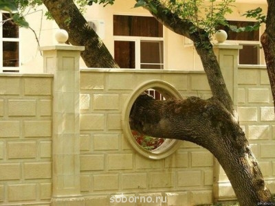 Всякая всячина - gB6Z2jzXoSI[1].jpg