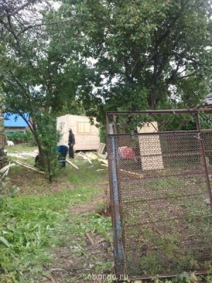 Наша дача и приусадебный участок - 2013-07-28 14.07.51.jpg