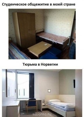 Интересное в интернете - image.jpg