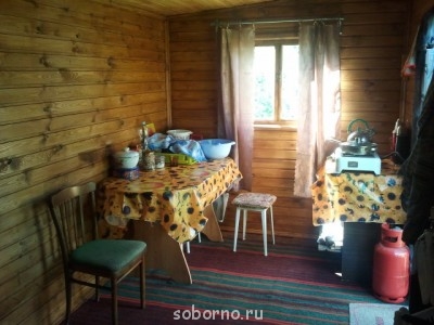 Наша дача и приусадебный участок - 2013-08-17 15.09.16.jpg