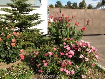 Завалинка - IMG_1242.JPG