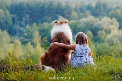 Наши верные друзья - собаки - image.jpg