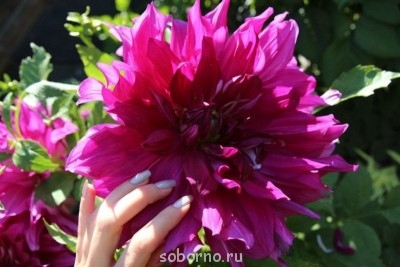 Уходя - не забудь вернуться...Или флуд на эту тему... - image.jpg