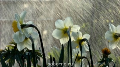 Каждая погода - благодать... - Na96oateWqM.jpg