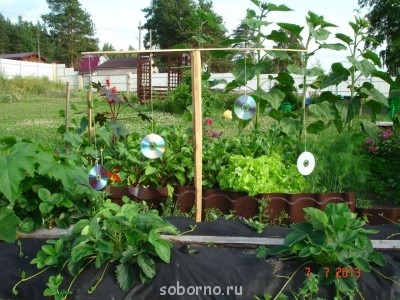 Наша дача и приусадебный участок - 3YAAObaiaCo.jpg