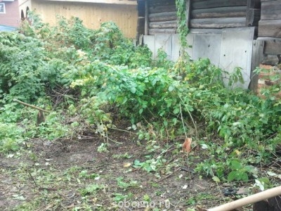 Наша дача и приусадебный участок - было.jpg