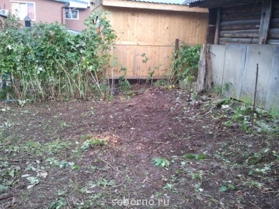 Наша дача и приусадебный участок - стало.jpg