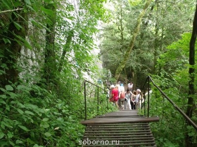 Икона дня - image.jpg