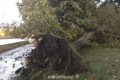 Каждая погода - благодать... - image.jpg