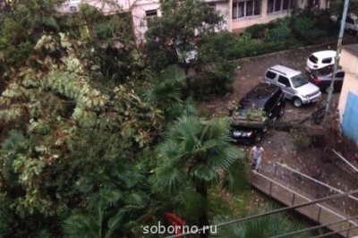 Каждая погода - благодать... - image.jpg