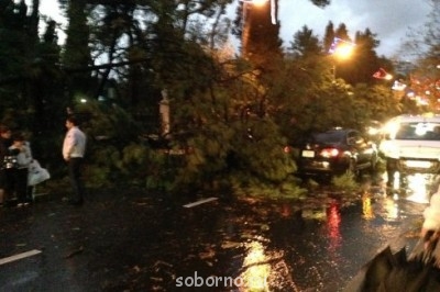 Каждая погода - благодать... - image.jpg