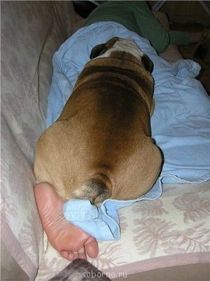 Рога и копыта, весёлая ЗоОфЛуДиЛьНя  - image.jpg