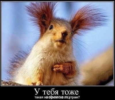 Звание для Венеции - RGFZ0tTsLIQ (1).jpg