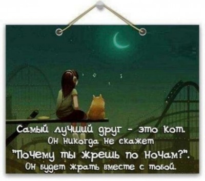 Рога и копыта, весёлая ЗоОфЛуДиЛьНя  - 105554896_large_kot.jpg