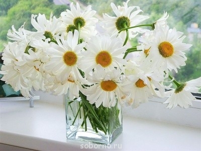 Доброе утро и Спокойной ночи  - image.jpg