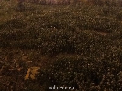 Завалинка - image.jpg