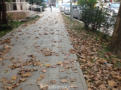 Каждая погода - благодать... - image.jpg