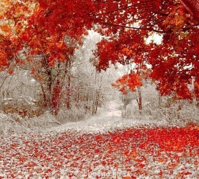 Доброе утро и Спокойной ночи  - getImage (5).jpg