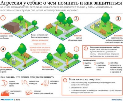Наши верные друзья - собаки - agressia_sobak.jpg