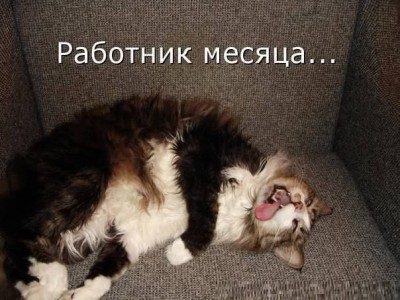 Они такие забавные смешные фото и видео  - OZvQCLjoiFI.jpg