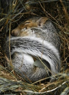 Добрые картинки - ATuX9eqLonc.jpg