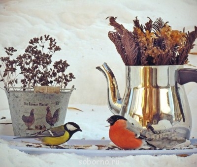 Добрые картинки - oJ7xMQB8wZc.jpg