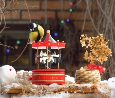 Добрые картинки - 9TQpepamVms.jpg