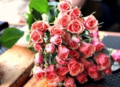 Особая радость - image.jpg