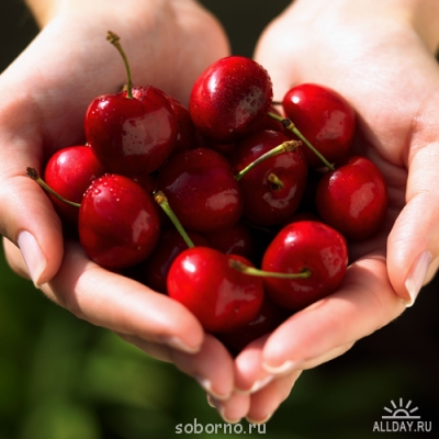 Доброе утро и Спокойной ночи  - 1223140845_hands_on-2_07.png