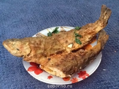 Что у нас сегодня к столу - image.jpg