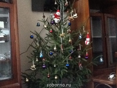 Новый 2014 год - image.jpg