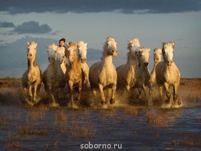 Доброе утро и Спокойной ночи  - image.jpg