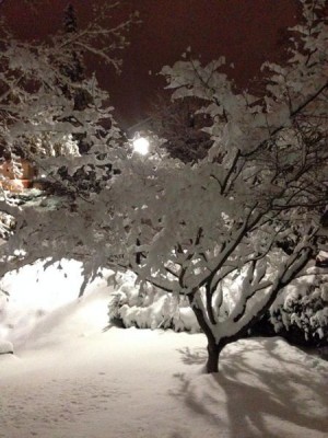 Каждая погода - благодать... - 1623581_10100466981472345_258840882_n.jpg