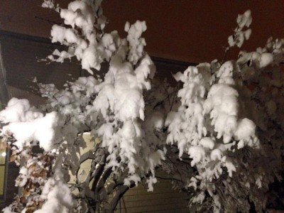 Каждая погода - благодать... - 1546431_10100466981567155_899764872_n.jpg