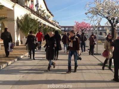 СОЧИ-2014. ОЛИМПИАДА - image.jpg