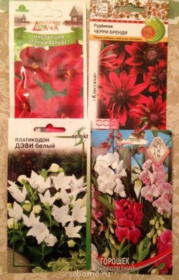 Наши цветы. В саду - фотография (1).JPG