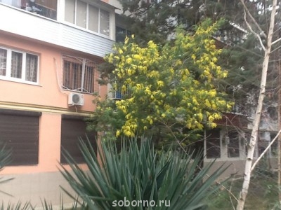 Каждая погода - благодать... - image.jpg