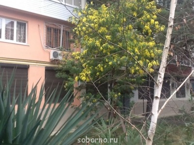 Каждая погода - благодать... - image.jpg