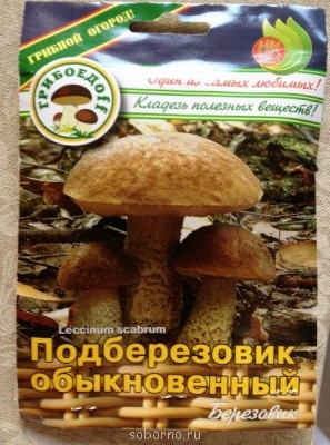 Наши работы в саду и в огороде - фотография (2).JPG