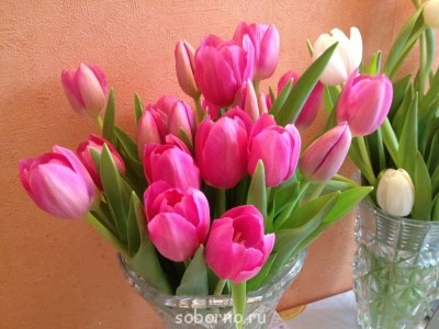 Доброе утро и Спокойной ночи  - фотография.JPG