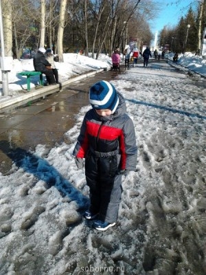 Каждая погода - благодать... - Фото1519.jpg