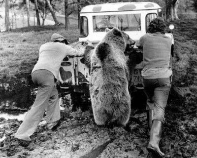 Автоюмор - 1455114_552348254850186_288464122_n.jpg